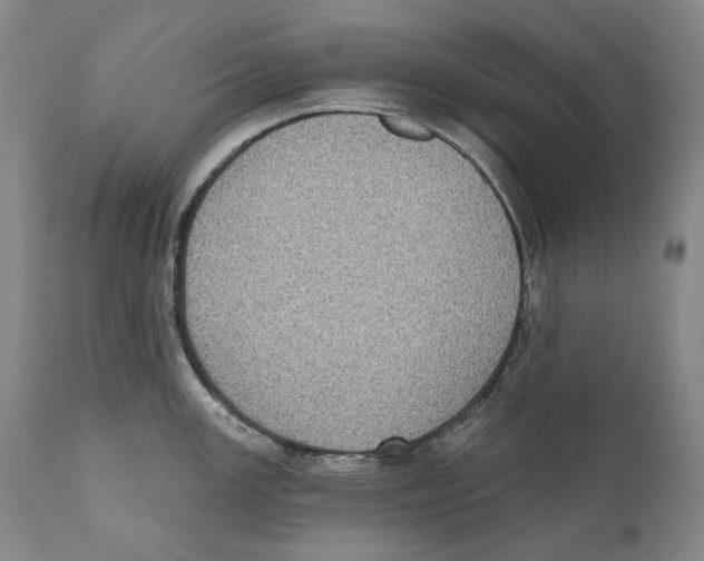 X0000110721147200907101357