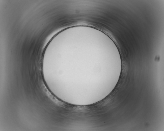 X0000110721148200907101357