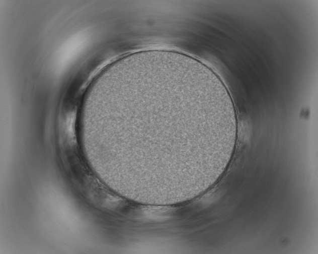 X0000110721150200907101357