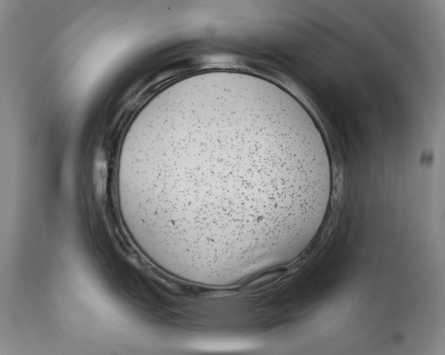 X0000110721151200907101357