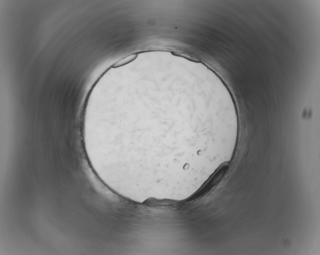 X0000110721152200907101357