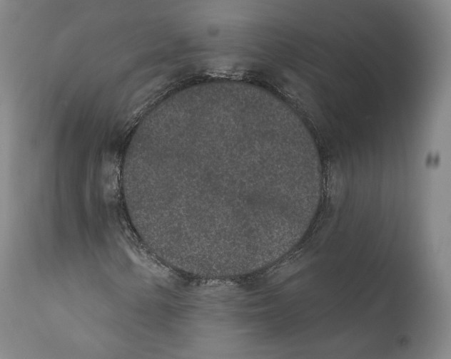 X0000110721154200907101357