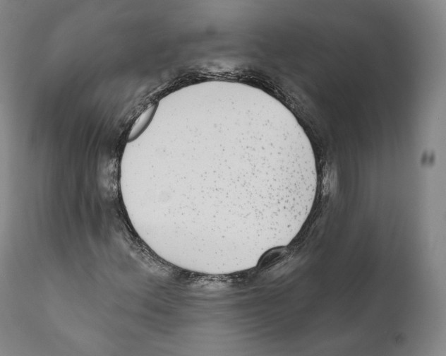 X0000110721156200907101357