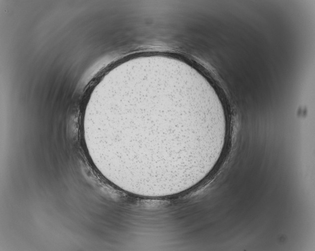 X0000110721163200907101357