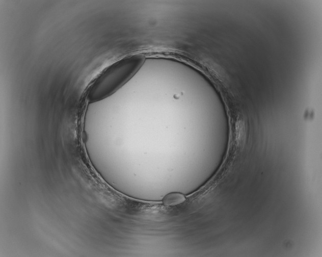 X0000110721165200907101357