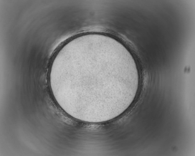 X0000110721166200907101357