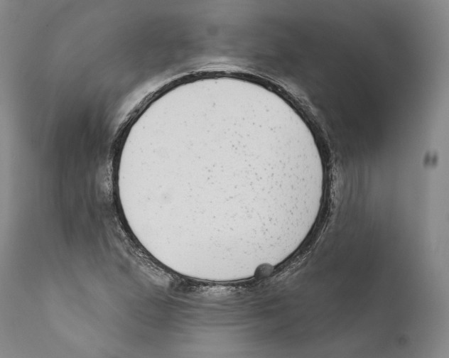 X0000110721167200907101357