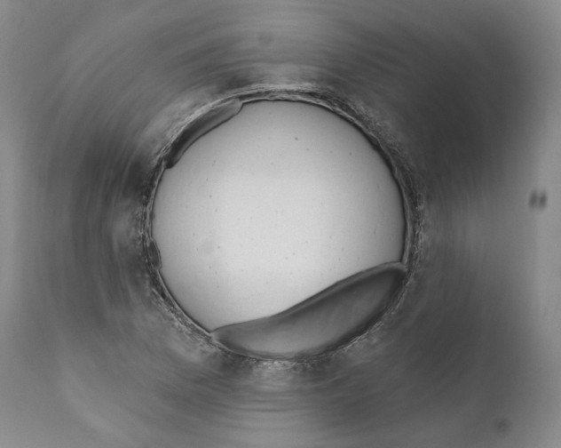 X0000110721169200907101357