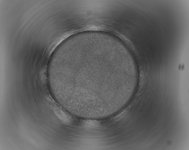 X0000110721170200907101357