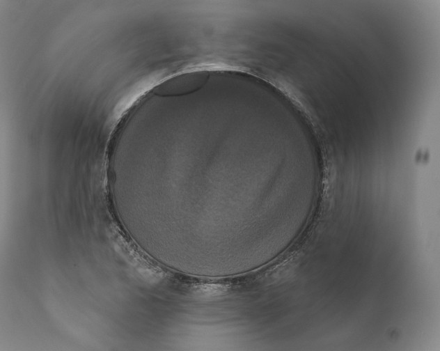 X0000110721173200907101357