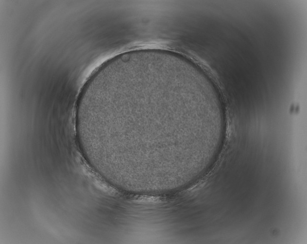 X0000110721174200907101357