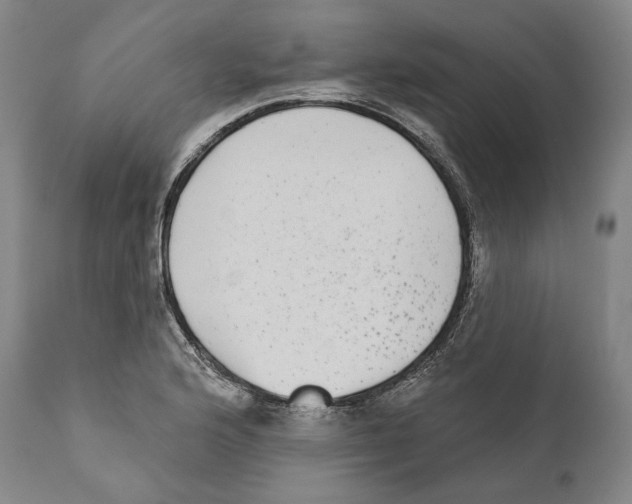 X0000110721176200907101356