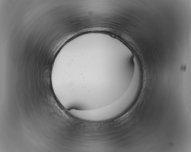 X0000110721177200907101356