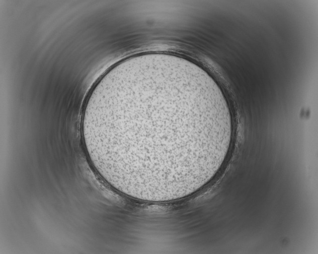 X0000110721178200907101356