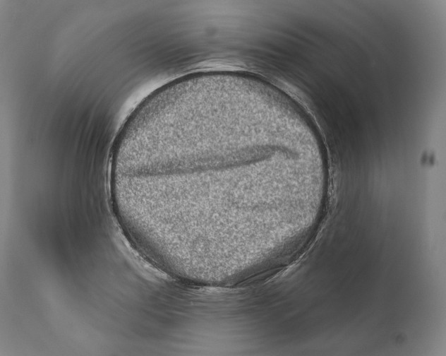 X0000110721179200907101356