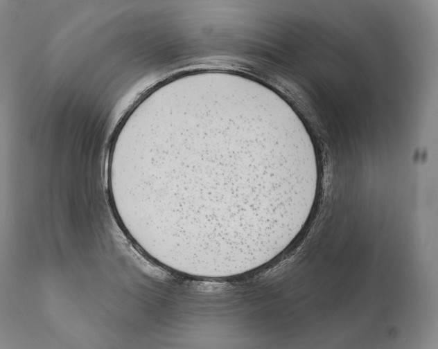 X0000110721180200907101356