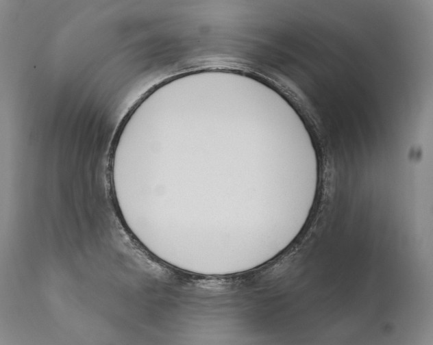 X0000110721182200907101356