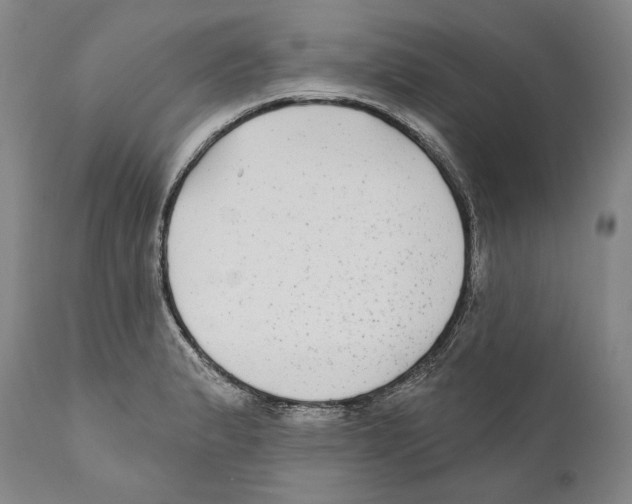 X0000110721183200907101356