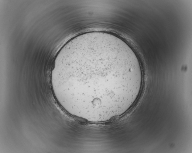 X0000110721185200907101356