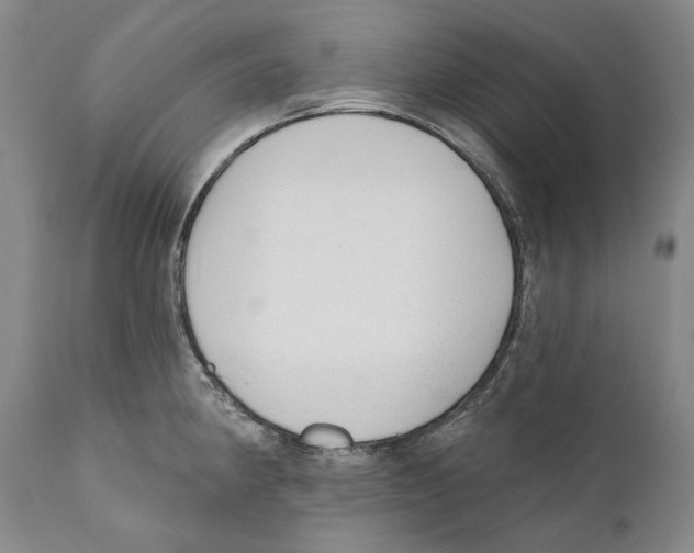 X0000110721190200907101356