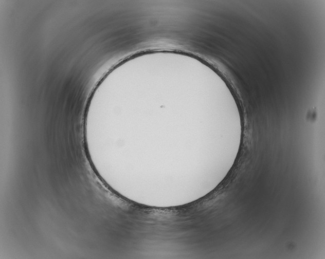 X0000110721191200907101356