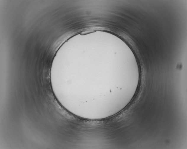 X0000110721193200907101356