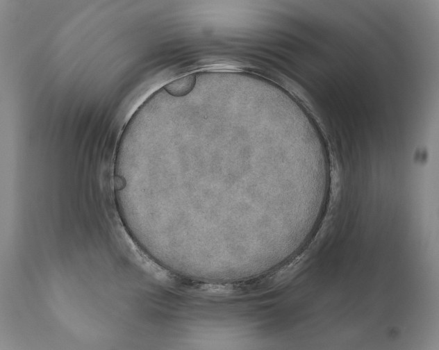 X0000110721194200907101356