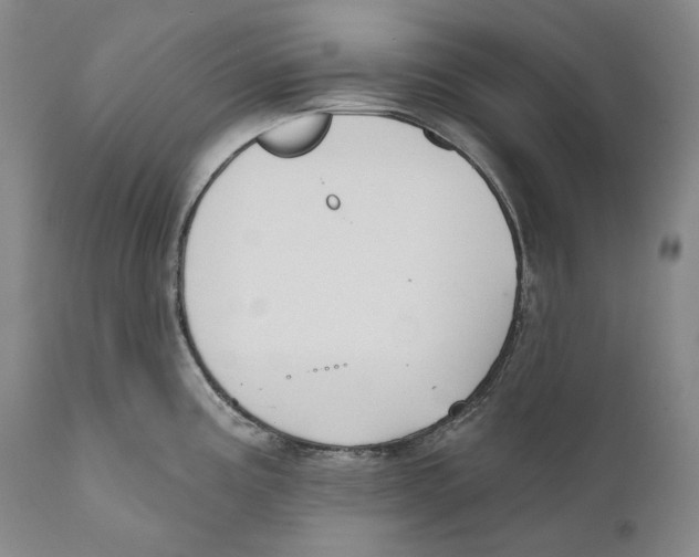 X0000110721195200907101356