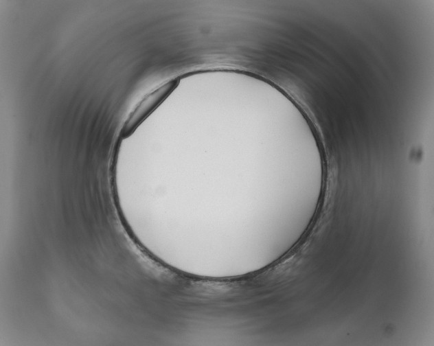 X0000110721197200907101356