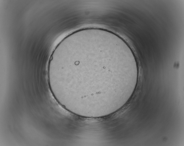 X0000110721199200907101356