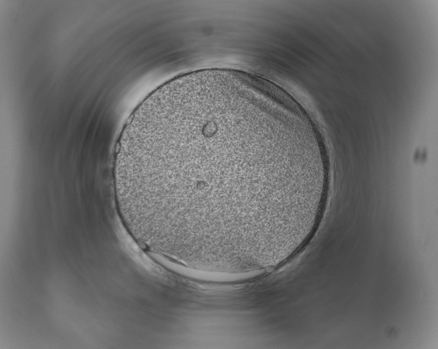 X0000110721200200907101356