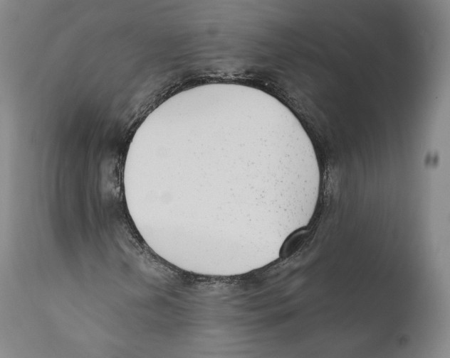 X0000110721202200907101356