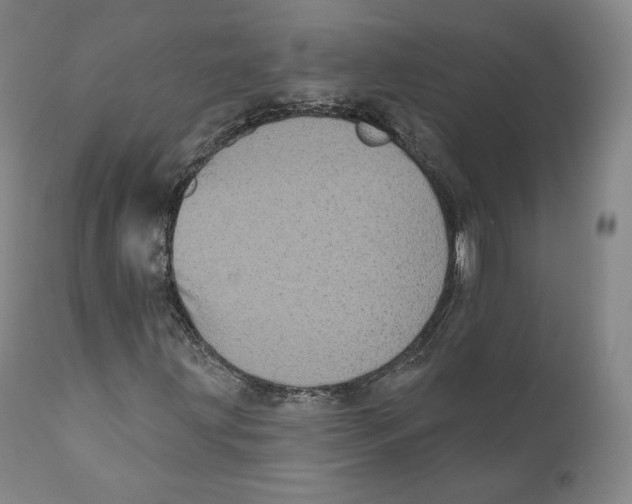 X0000110721203200907101356