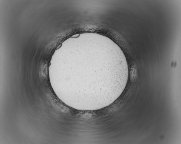 X0000110721204200907101356