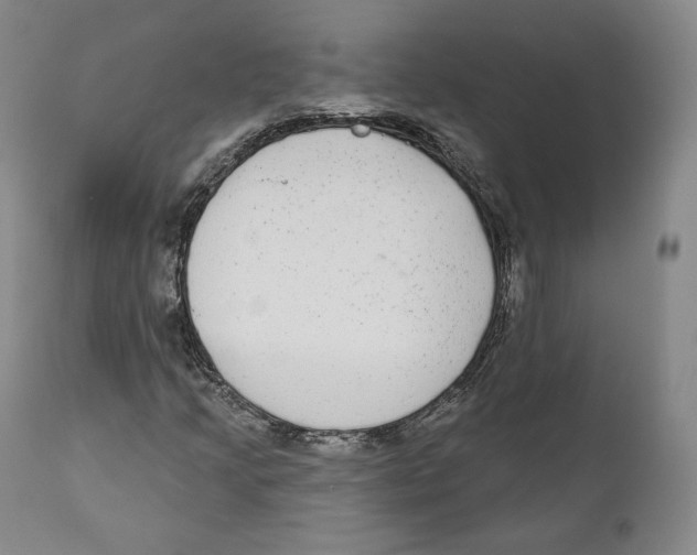 X0000110721205200907101356