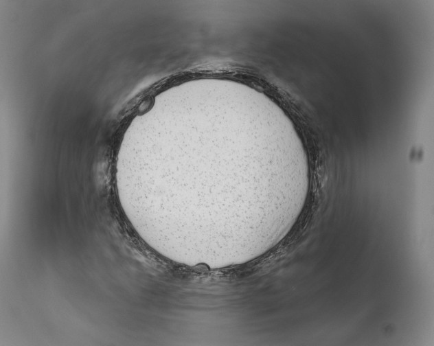 X0000110721206200907101356