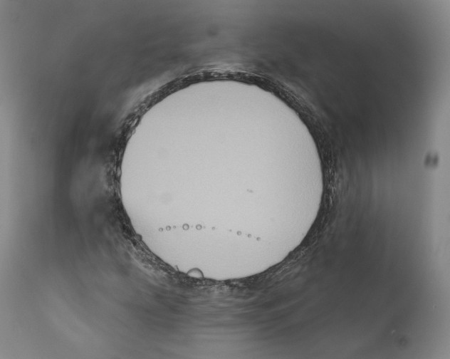 X0000110721207200907101356