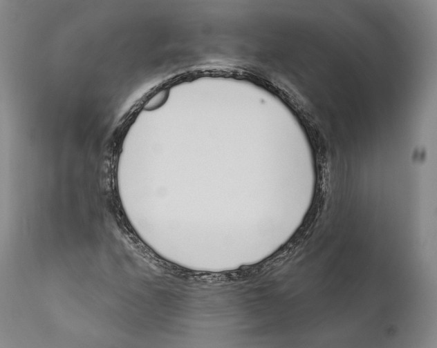 X0000110721208200907101356