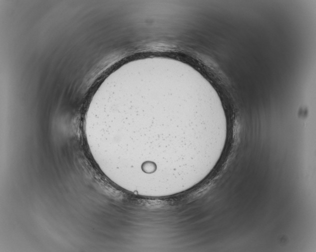 X0000110721209200907101356