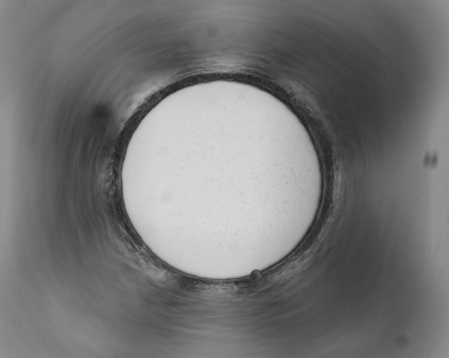 X0000110721210200907101356