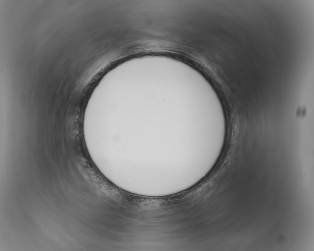 X0000110721211200907101356