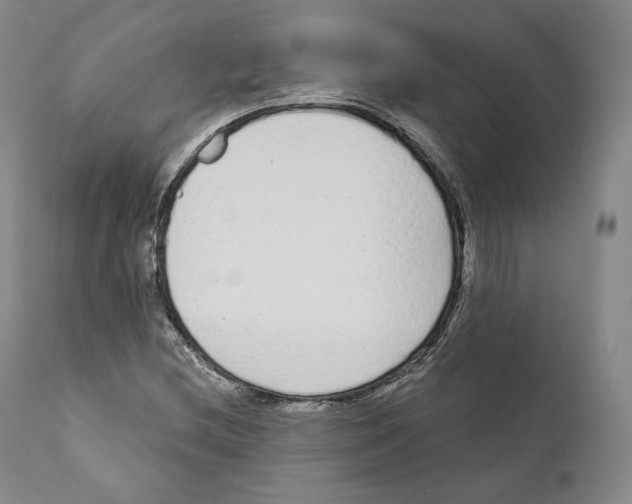 X0000110721212200907101356