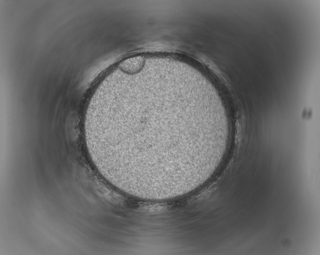 X0000110721213200907101356