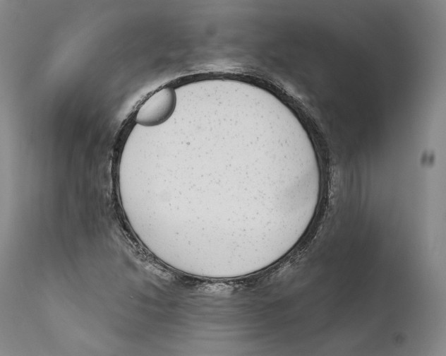 X0000110721214200907101356