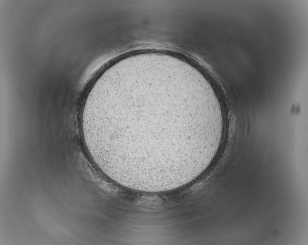 X0000110721215200907101356