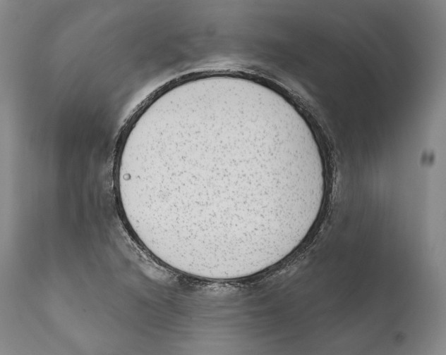 X0000110721216200907101356