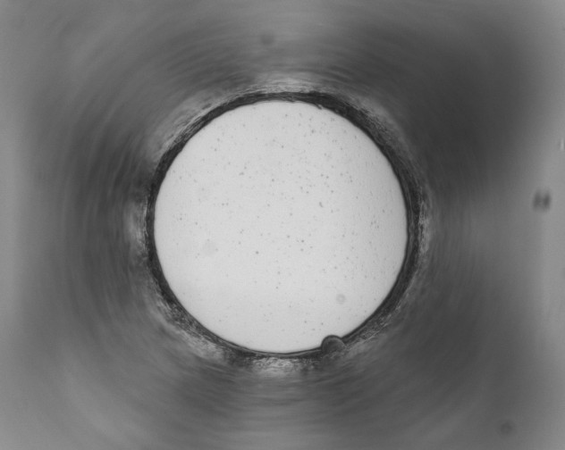 X0000110721217200907101356