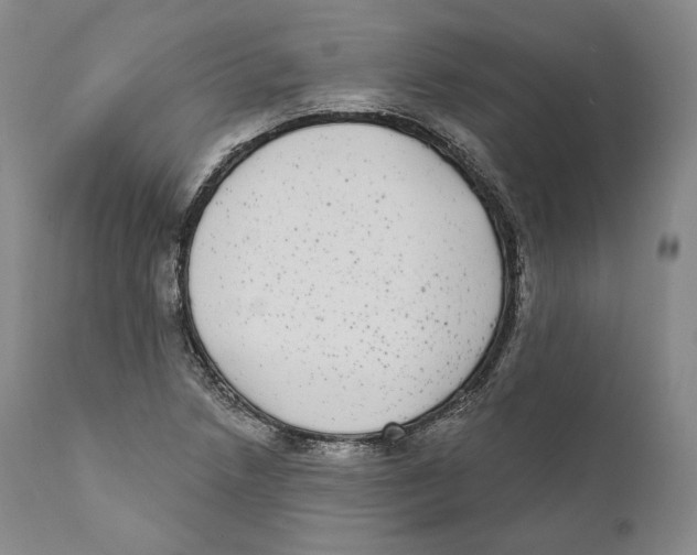 X0000110721218200907101356