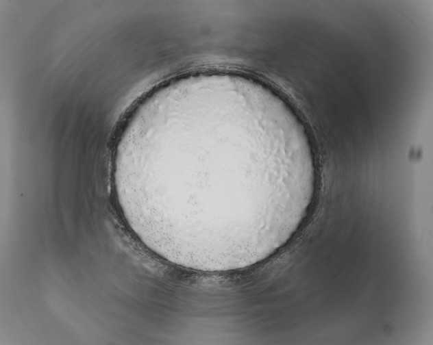 X0000110721219200907101356