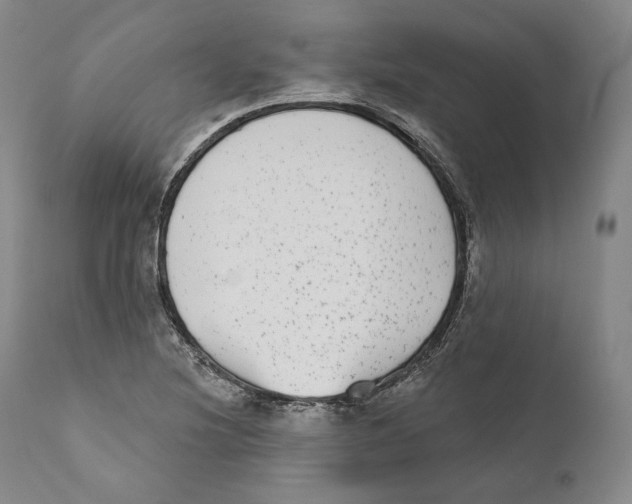 X0000110721220200907101356